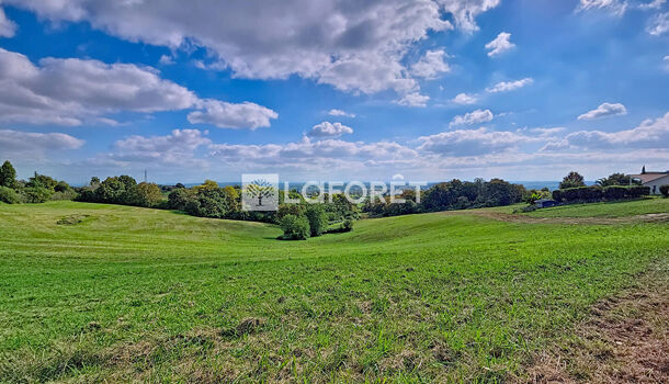 Terrain  à vendre Orthez 64300