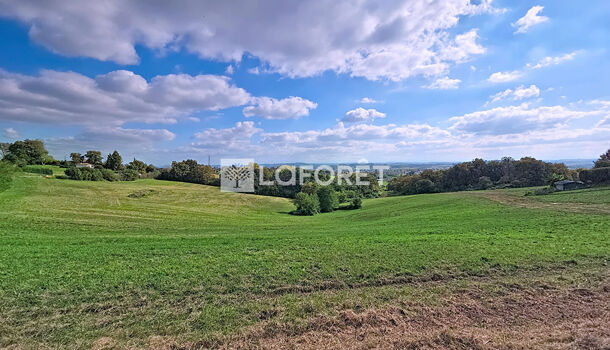 Terrain  à vendre Orthez 64300