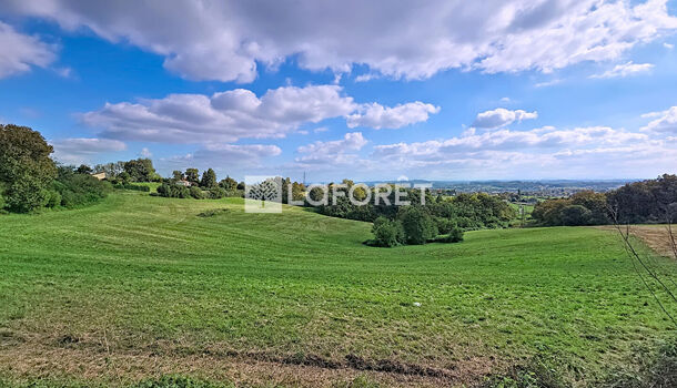 Terrain  à vendre Orthez 64300