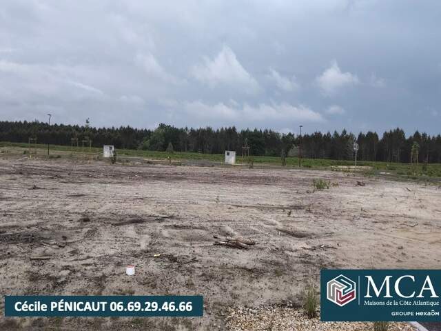 Terrain à bâtir à Laluque (40465) — photo du bien
