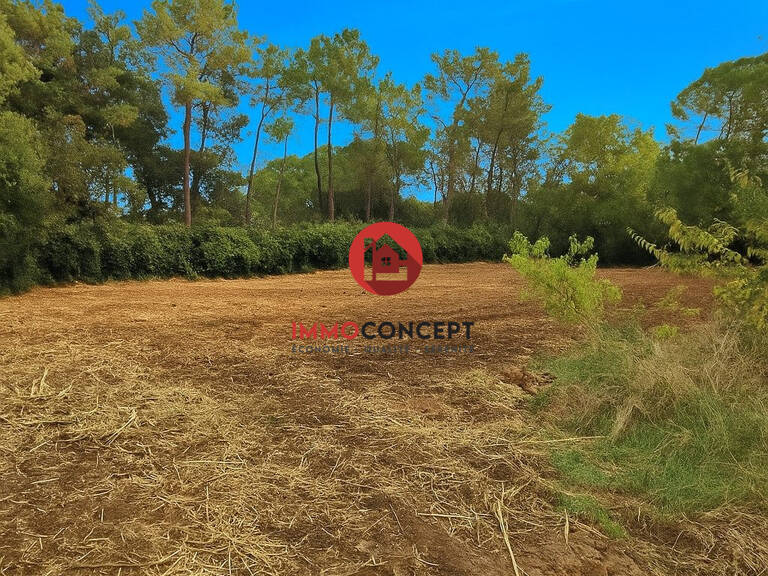 Terrain constructible — photo 1