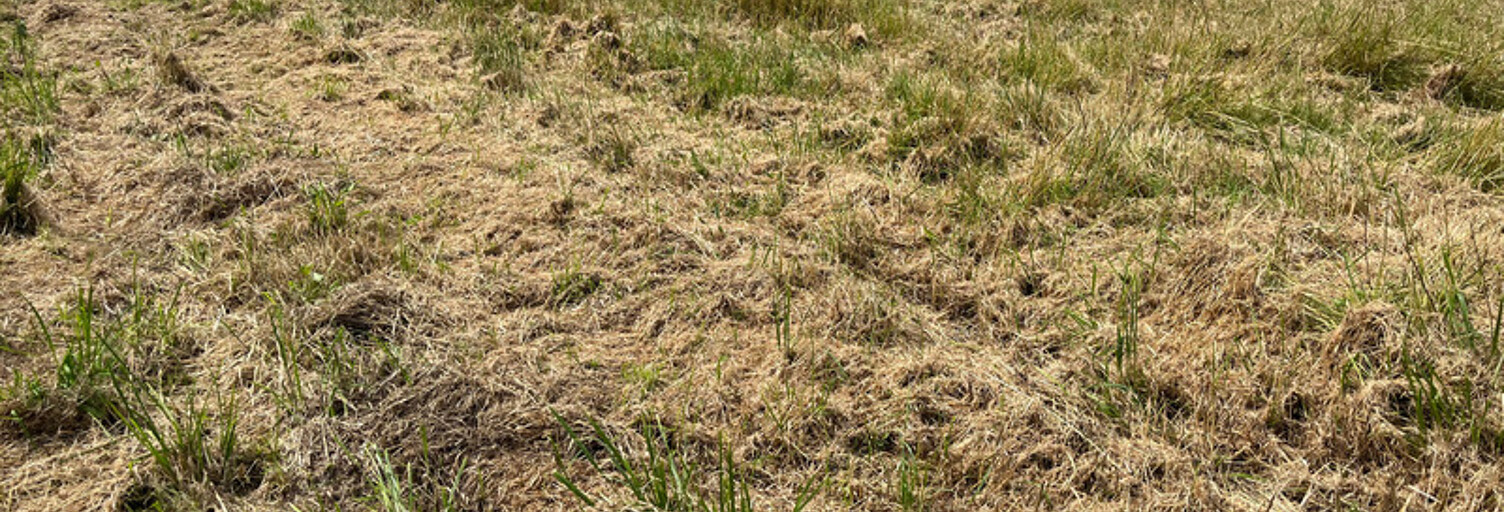 Terrain  1124 m² à vendre à Le Fouilloux (17270)