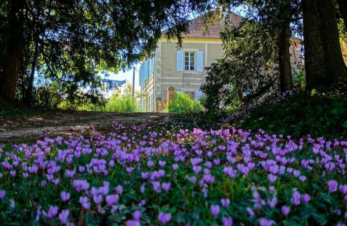 A vendre, Vic-Fezensac, Gers : Magnifique maison de maître authentique avec des beaux volumes et éléments d'époque, grandes dépendances, allée privée bordée d'arbres et parc de 1,9ha — photo 2