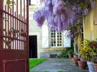 A vendre, Vic-Fezensac, Gers : Magnifique maison de maître authentique avec des beaux volumes et éléments d'époque, grandes dépendances, allée privée bordée d'arbres et parc de 1,9ha — photo 4