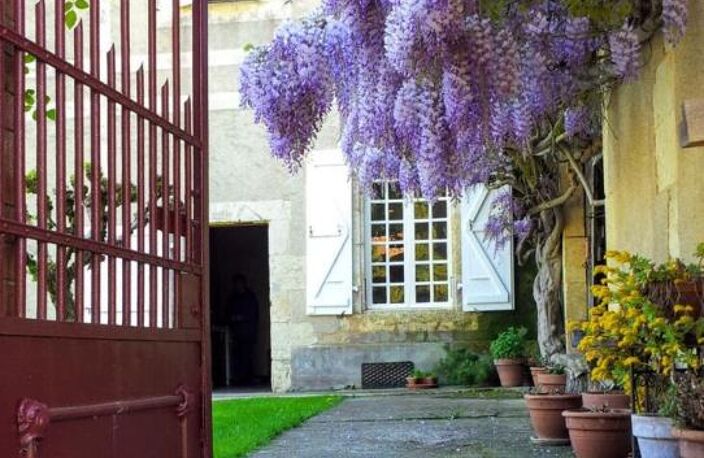 A vendre, Vic-Fezensac, Gers : Magnifique maison de maître authentique avec des beaux volumes et éléments d'époque, grandes dépendances, allée privée bordée d'arbres et parc de 1,9ha — photo 4