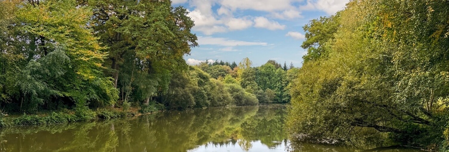 Maison 8 Pièces 274 m² à vendre à Hambers (53160)