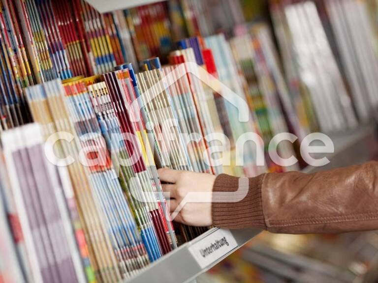 A vendre Presse Jeux secteur SAINT BRIEUC (22) — photo 1