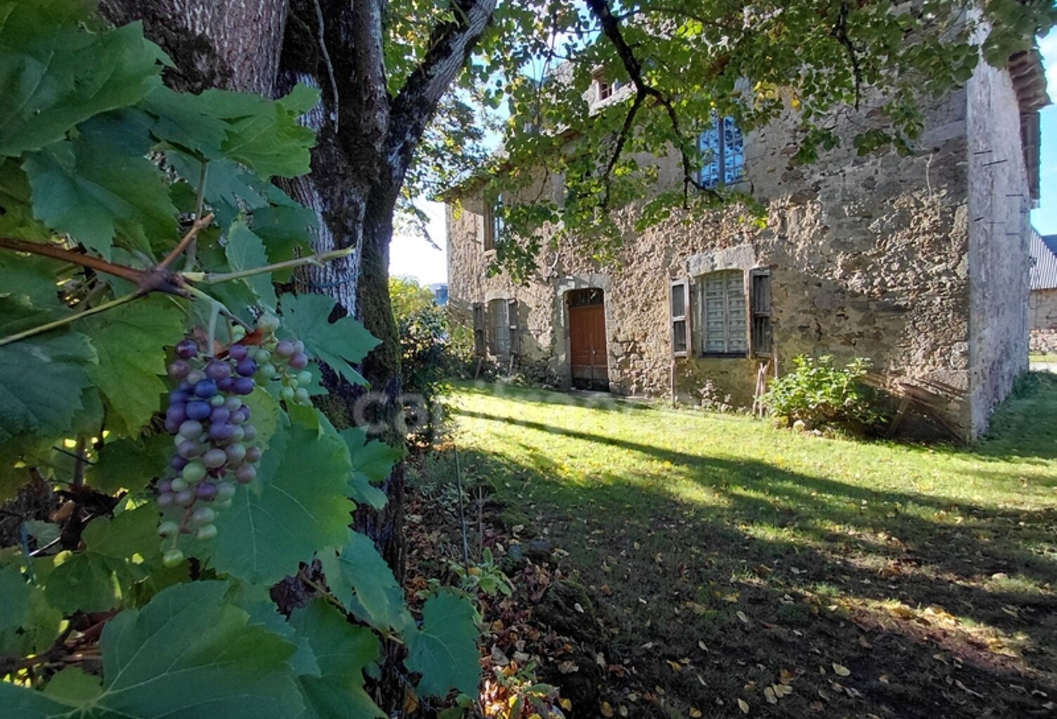 Maison de Maître du XVIIIe siècle avec dépendances et terrain de plus de 3 hectares – Puycapel (15) — photo 1