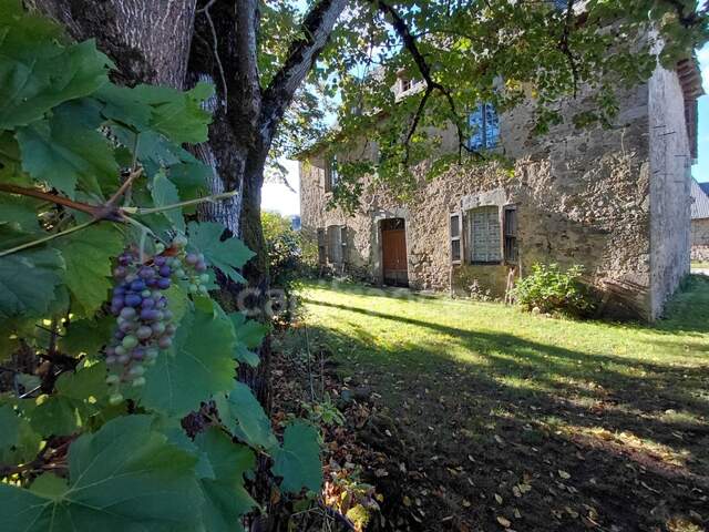 Maison de Maître du XVIIIe siècle avec dépendances et terrain de plus de 3 hectares – Puycapel (15) — photo du bien