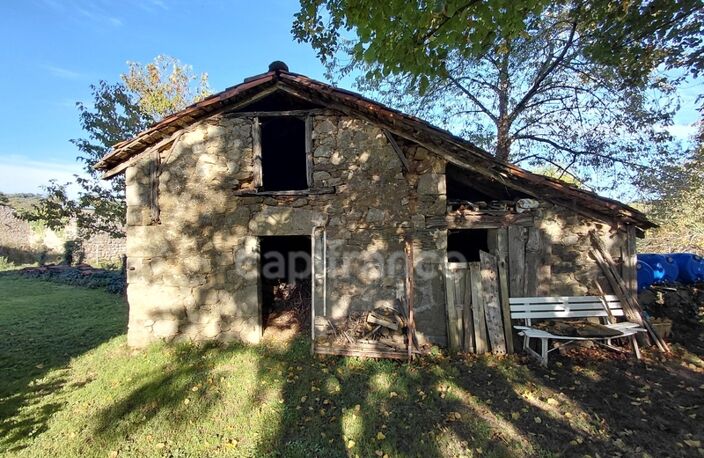 Maison de Maître du XVIIIe siècle avec dépendances et terrain de plus de 3 hectares – Puycapel (15) — photo 4
