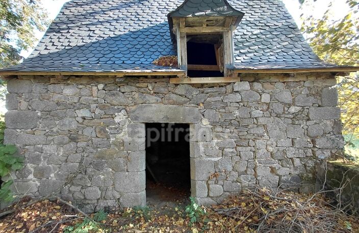 Maison de Maître du XVIIIe siècle avec dépendances et terrain de plus de 3 hectares – Puycapel (15) — photo 5