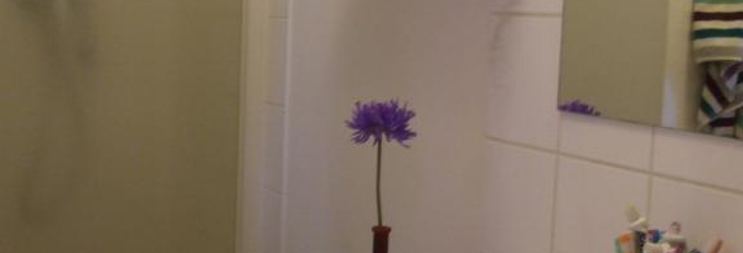 Appartement 2 Pièces 28 m² à louer à Nantes (44000)