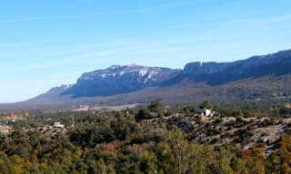 Appartement 2 Pièces 50 m² à louer à Plan-d'Aups-Sainte-Baume (83640)