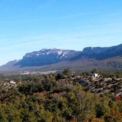 Appartement 2 pièces 700 €