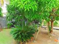 Maison À Vendre — photo 3