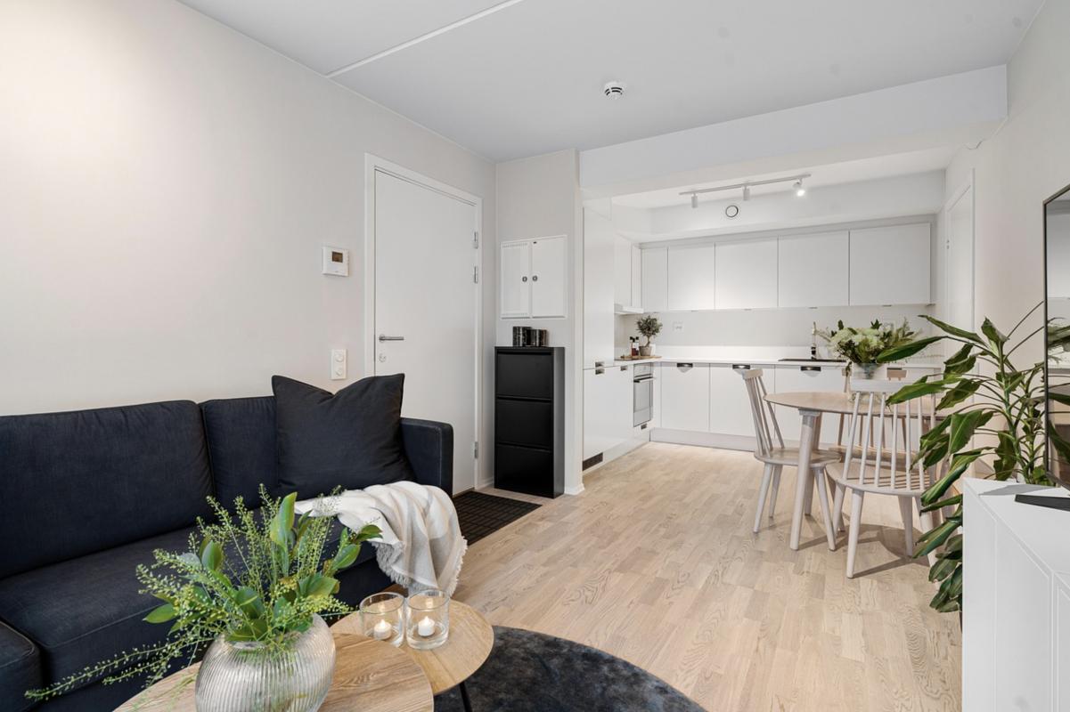 Appartement neuf 2 pièces 49 m²