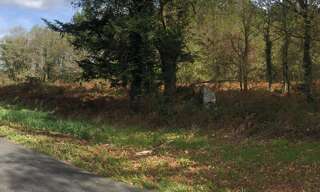 Terrain  8438 m² à vendre à Herm (40990)