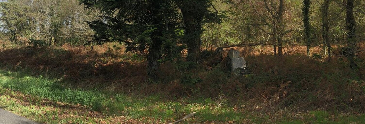 Terrain  8438 m² à vendre à Herm (40990)