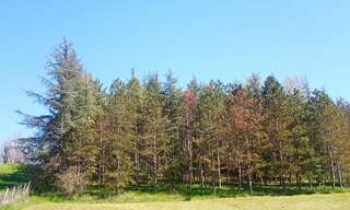 Terrain  4000 m² à vendre à Lombers (81120)