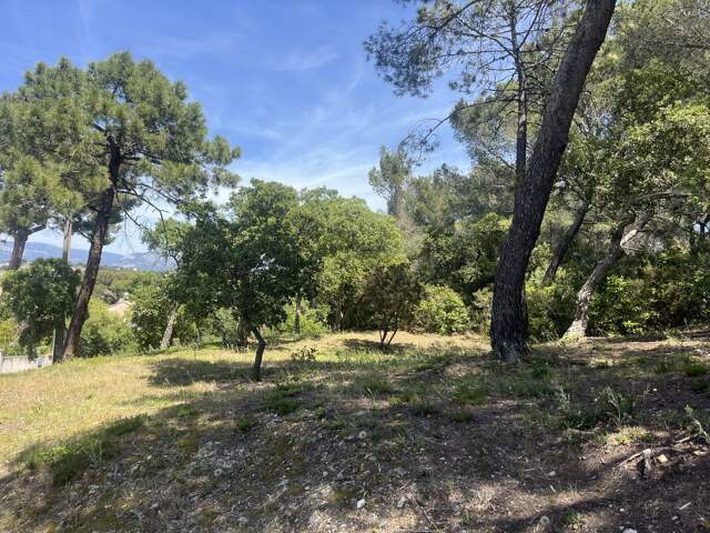 Terrain en zone naturelle forêt — photo du bien