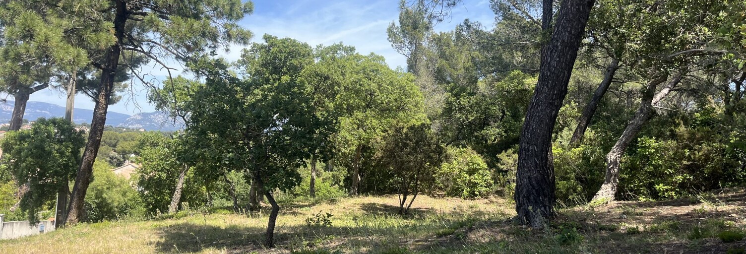 Terrain  8590 m² à vendre à Six-Fours-les-Plages (83140)