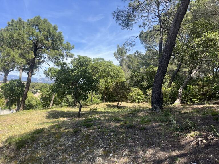 Terrain en zone naturelle forêt — photo 1