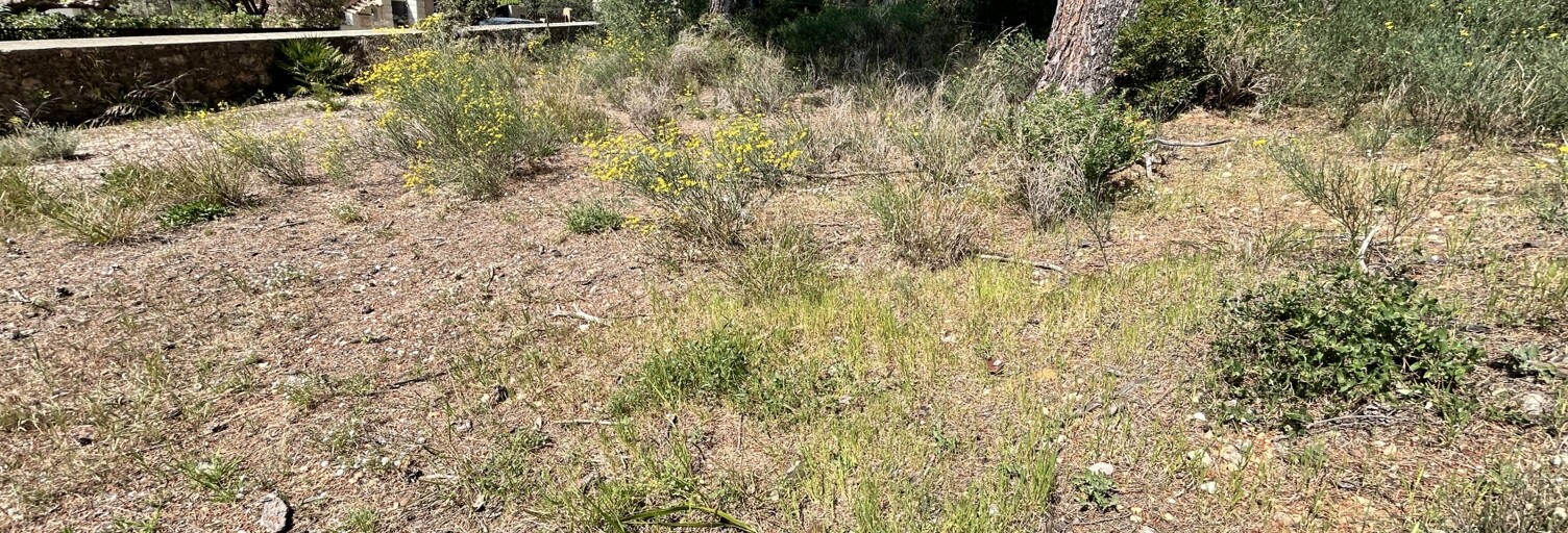 Terrain  942 m² à vendre à Sanary-sur-Mer (83110)