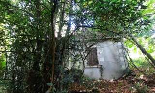 Maison 2 Pièces 60 m² à vendre à Vicq-sur-Nahon (36600)