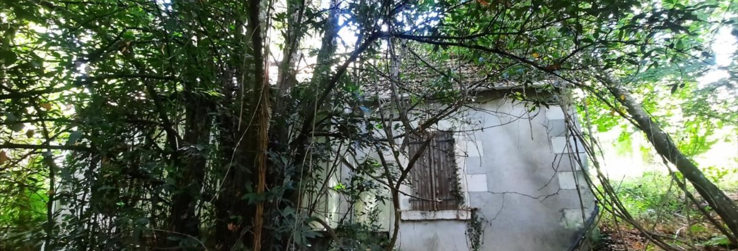 Maison 2 Pièces 60 m² à vendre à Vicq-sur-Nahon (36600)