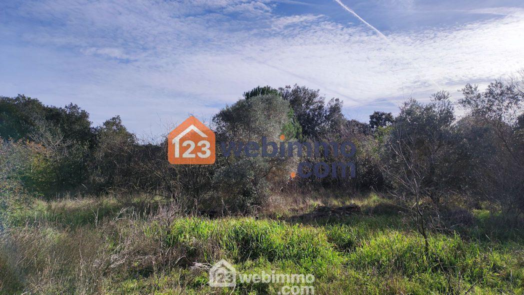 Terrain constructible - 1000m² - Cornillon-Confoux