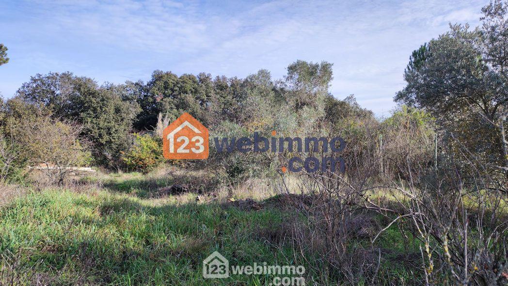 Photo Terrain constructible - 1000m² - Cornillon-Confoux image 4/4