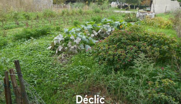 Villa / Maison 3 pièces  à vendre Sainte-Gemme 17250