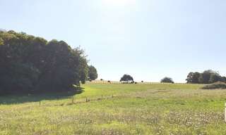 Terrain  3002 m² à vendre à Palazinges (19190)