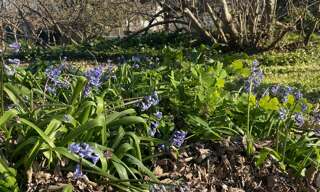 Terrain  430 m² à vendre à Libourne (33500)