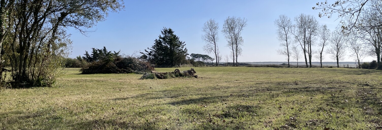 Terrain  8500 m² à vendre à Riantec (56670)