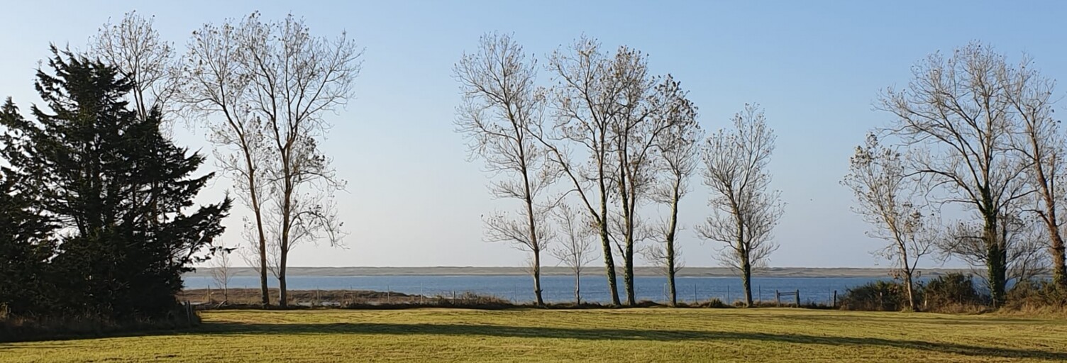 Terrain  8800 m² à vendre à Riantec (56670)