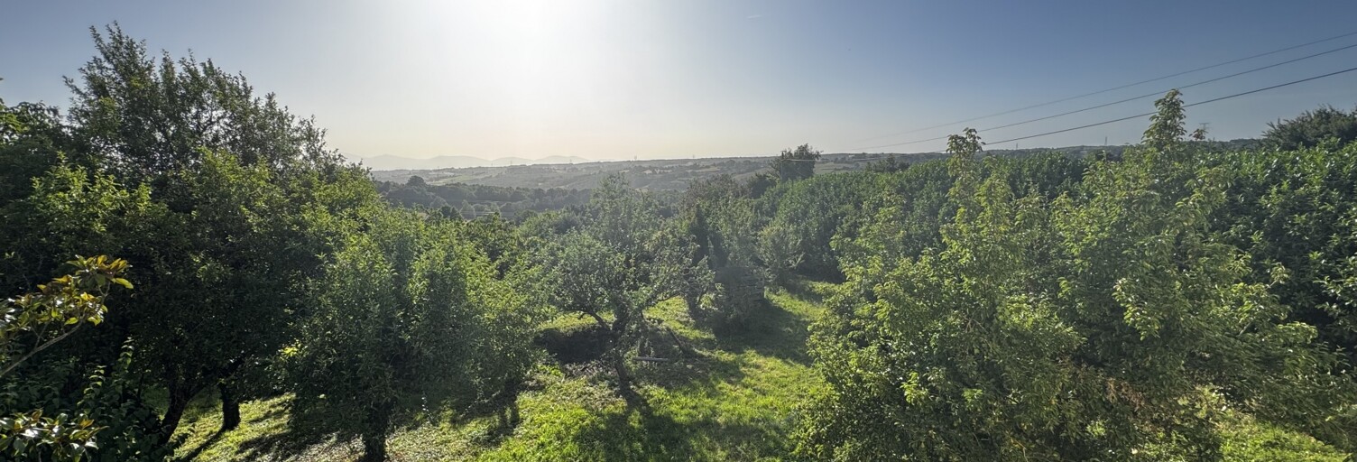 Maison 4 Pièces 140 m² à vendre à Montseveroux (38122)