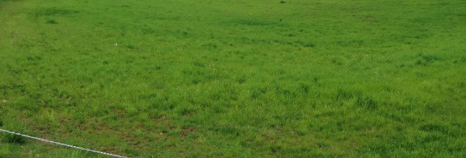 Terrain  800 m² à vendre à Saint-Astier (24110)