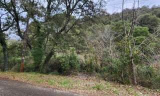 Terrain  41460 m² à vendre à Collobrières (83610)