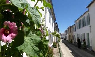 Appartement 2 Pièces 40 m² à vendre à La Flotte (17630)