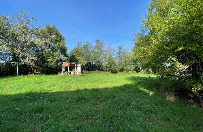 Maison de caracrtere avec Grand Terrain – CERCY-LA-TOUR (NIÈVRE) — photo 5