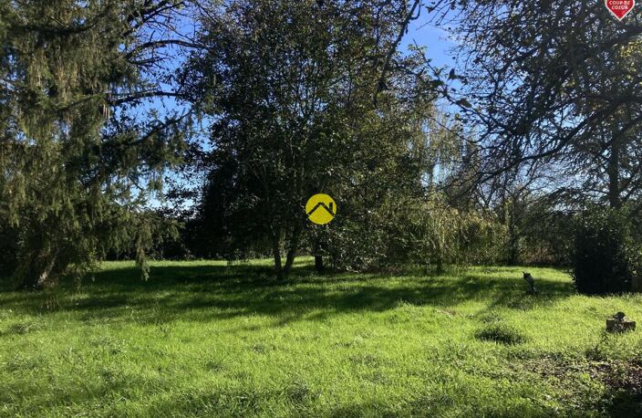 PETITE MERVEILLE  — photo 3