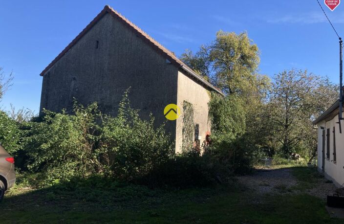 PETITE MERVEILLE  — photo 4