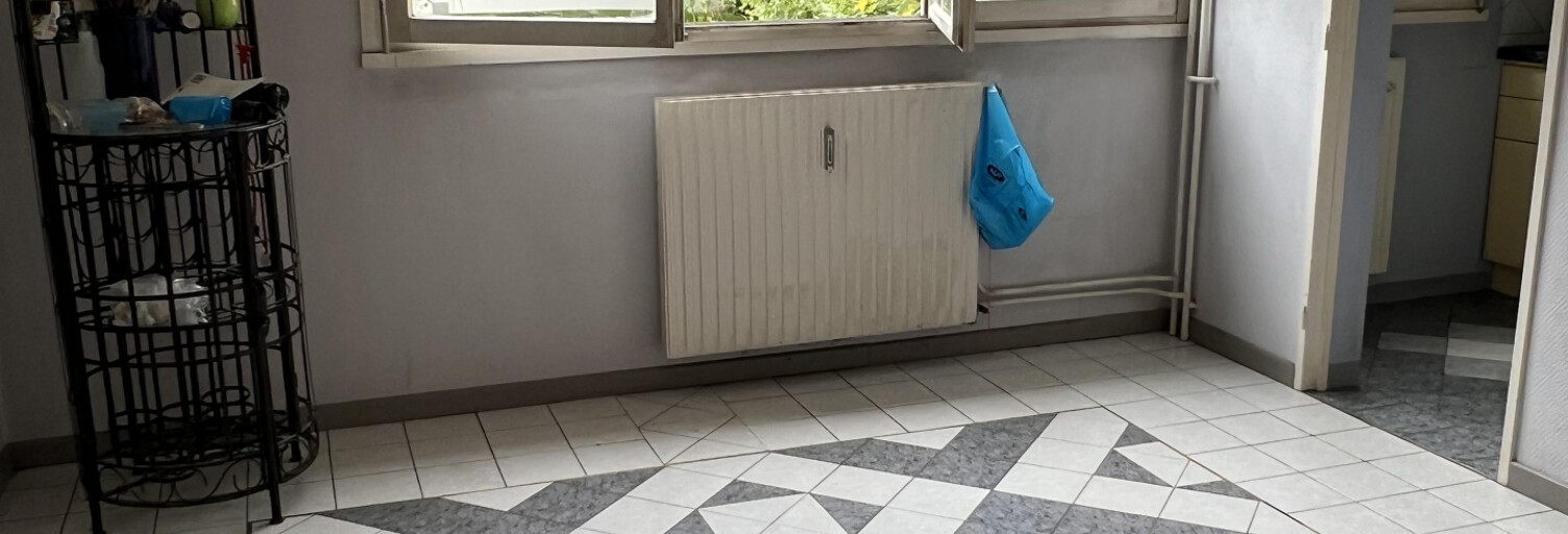 Appartement 2 Pièces 43 m² à vendre à Metz (57000)