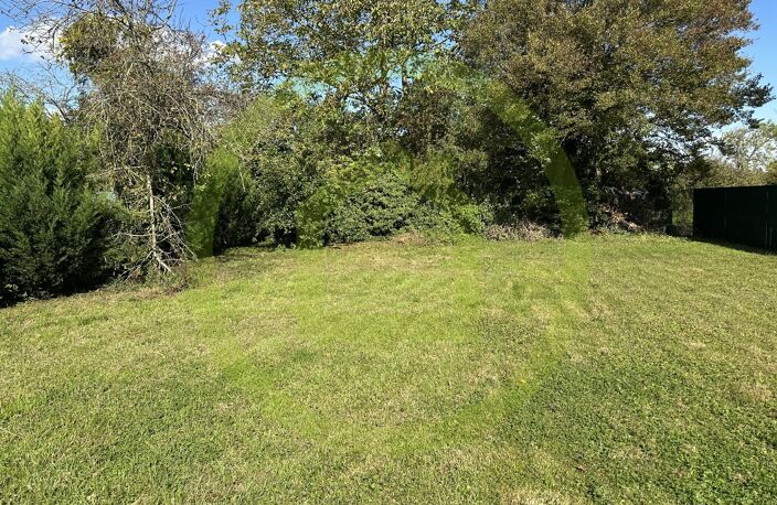 Terrain — photo 3