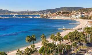 Commerce   m² à vendre à Cannes (06400)