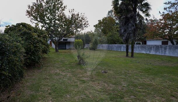 Terrain  à vendre Saint-Palais-sur-Mer 17420