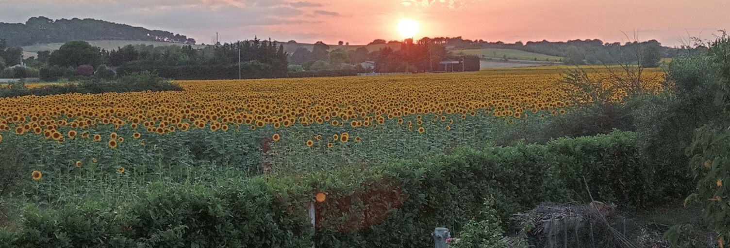 Maison 6 Pièces 122 m² à vendre à Belvèze-du-Razès (11240)