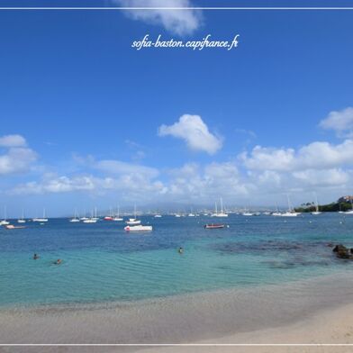 Appartement 3 pièces 530000 €