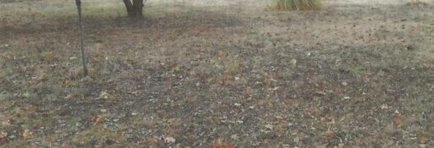 Maison 7 Pièces 147 m² à louer à Pibrac (31820)